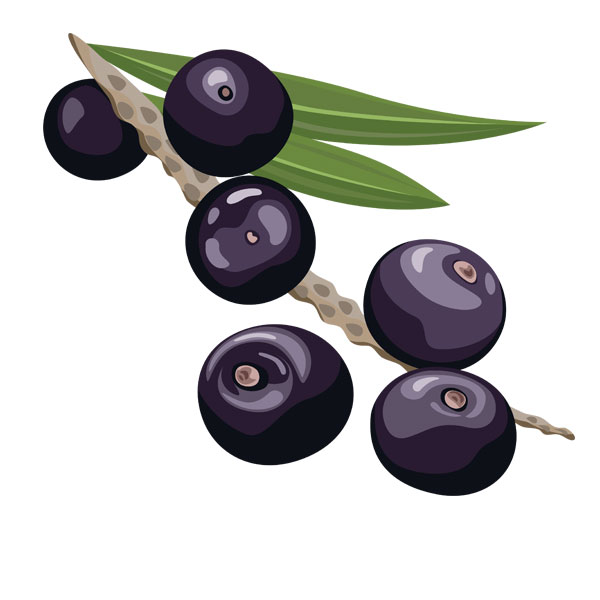 אסאי - שקית 2 ק"ג