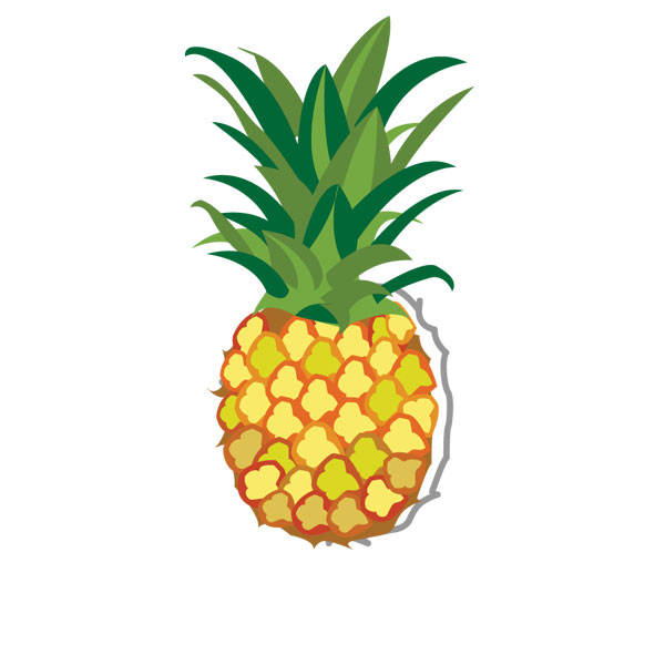 אננס - שקית 2 ק"ג