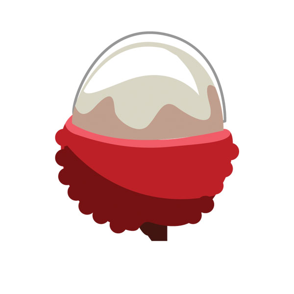 ליצי - שקית 2 ק"ג