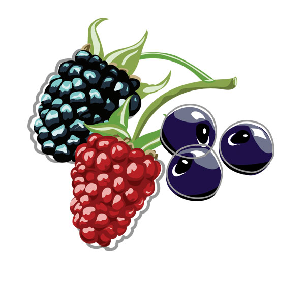 מיקס פירות יער - שקית 2 ק"ג