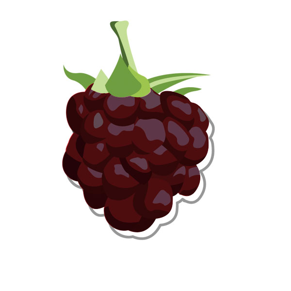 פטל שחור - שקית 2 ק"ג